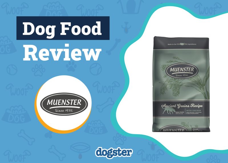 Dogster_Muenster Dog Food Review