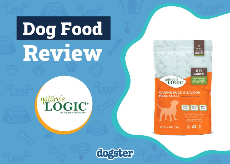 Dogster_Nature’s Logic Dog Food Review