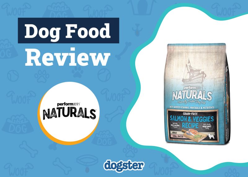 Dogster_Performatrin Dog Food Review
