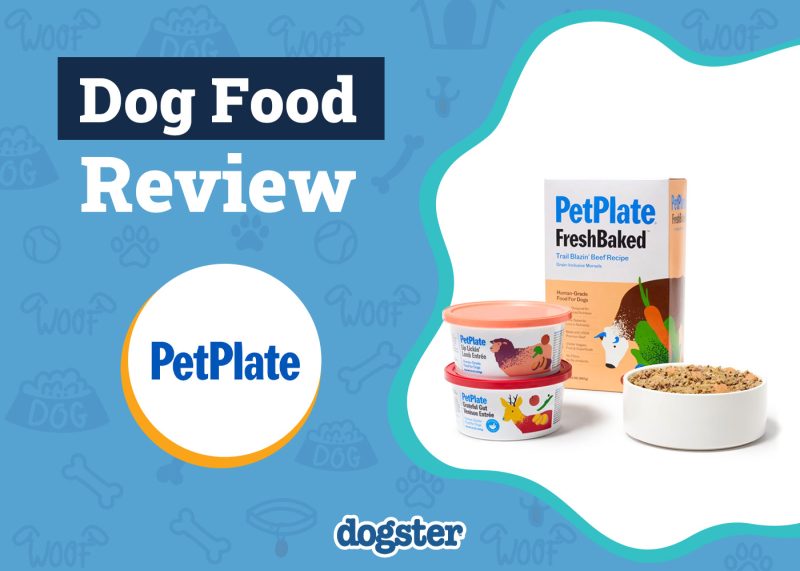 Dogster_PetPlate Dog Food Review