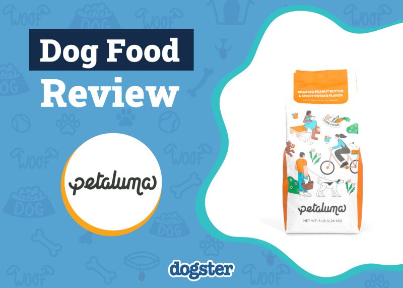 Dogster_Petaluma Dog Food Review