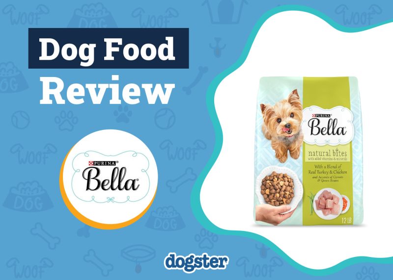 Dogster_Purina Bella Dog Food Review
