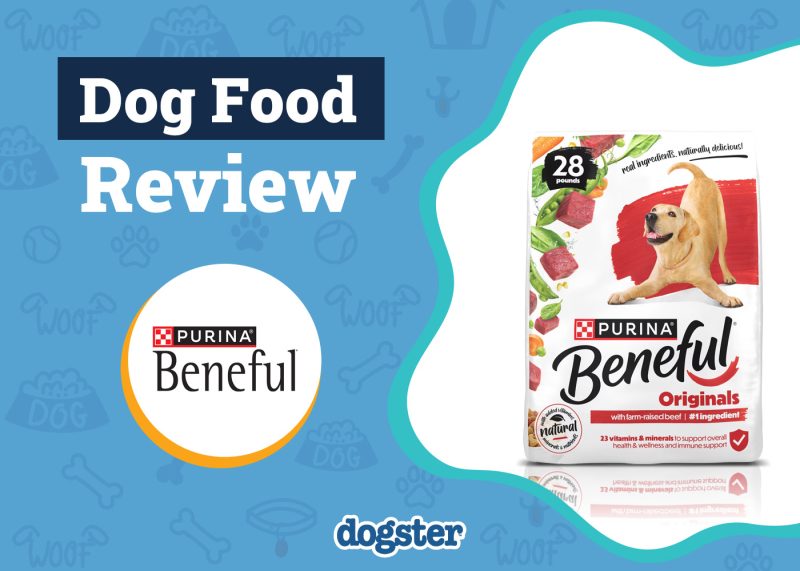 Dogster_Purina Beneful Dog Food Review