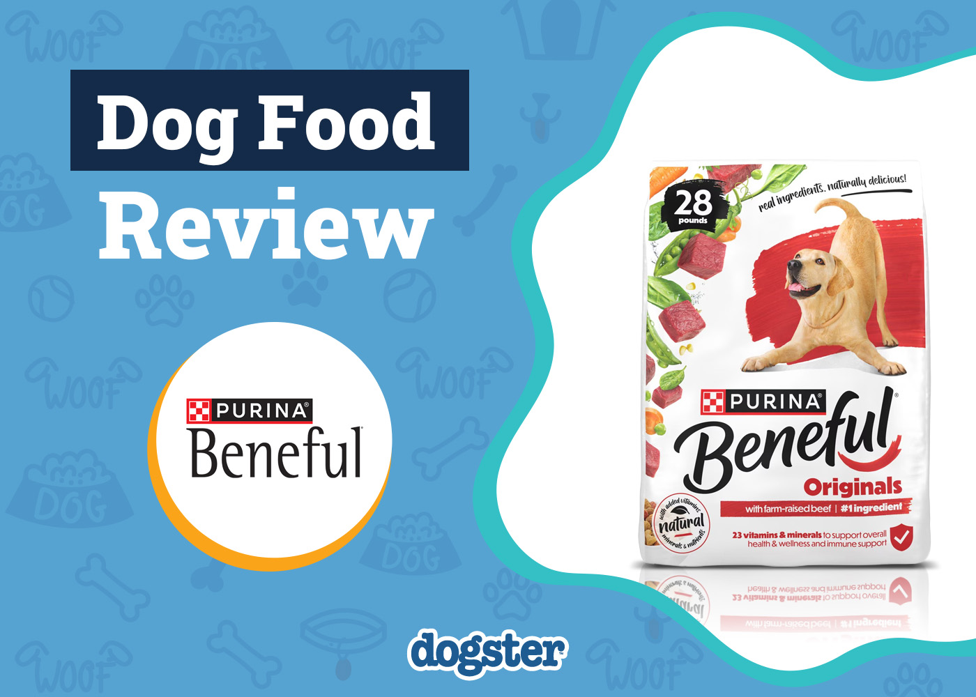 Dogster_Purina Beneful Dog Food Review