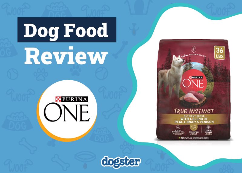 Dogster_Purina ONE SmartBlend True Instinct Dog Food Review