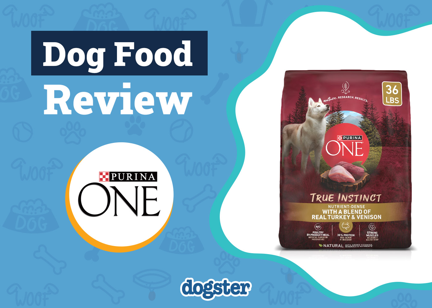 Dogster_Purina ONE SmartBlend True Instinct Dog Food Review