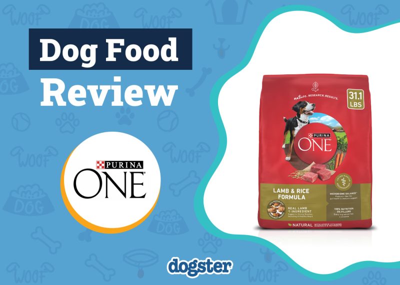 Dogster_Purina One Lamb and Rice Dog Food Review