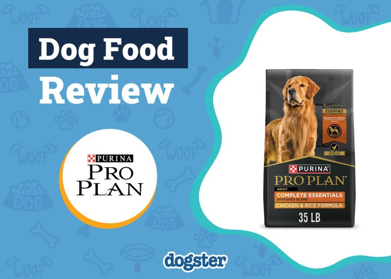 Dogster_Purina Pro Plan Dog Food Review