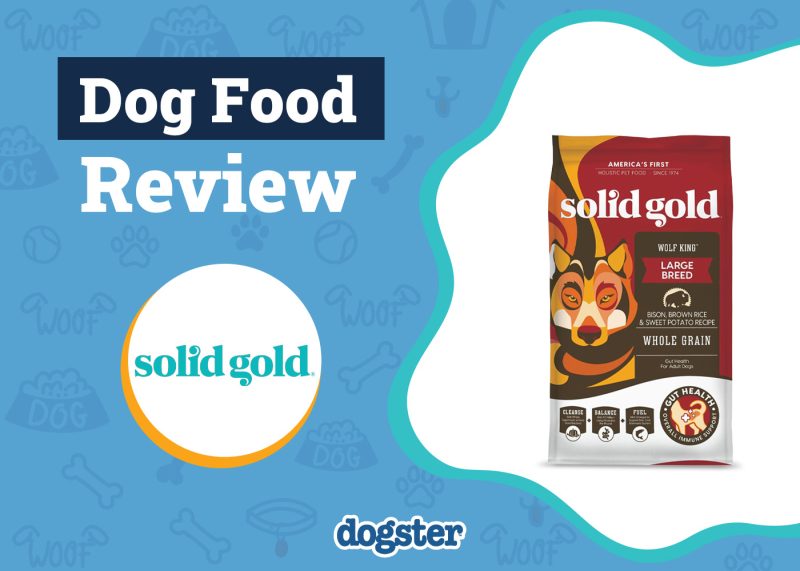Dogster_Solid Gold Dog Food Review