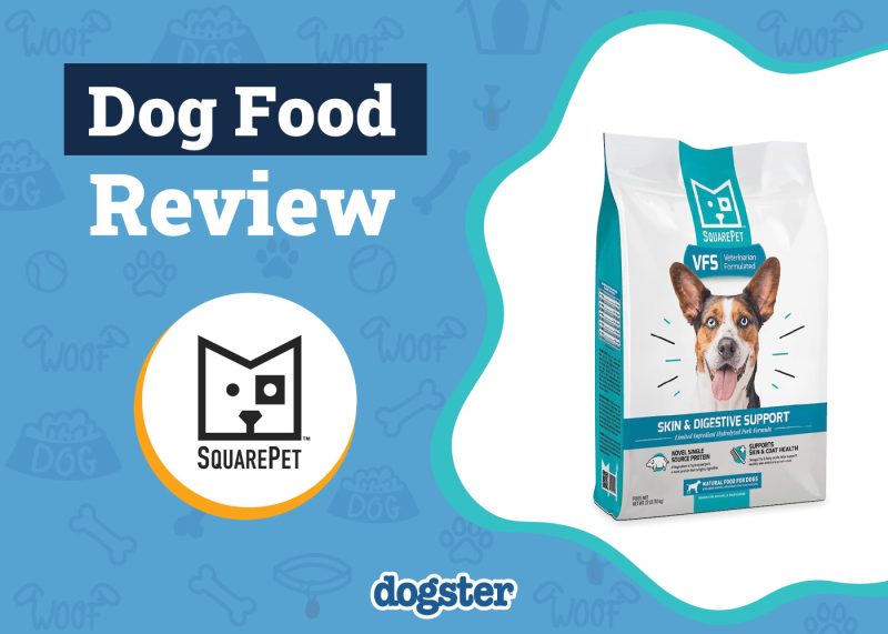 Dogster_SquarePet Dog Food Review