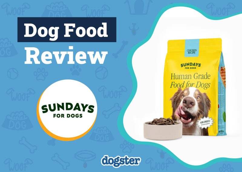 Dogster_Sundays for Dogs Food Review