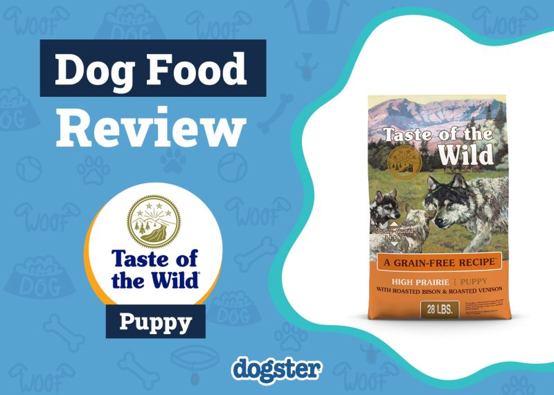 Dogster_Taste of the Wild High Prairie Puppy Food Review