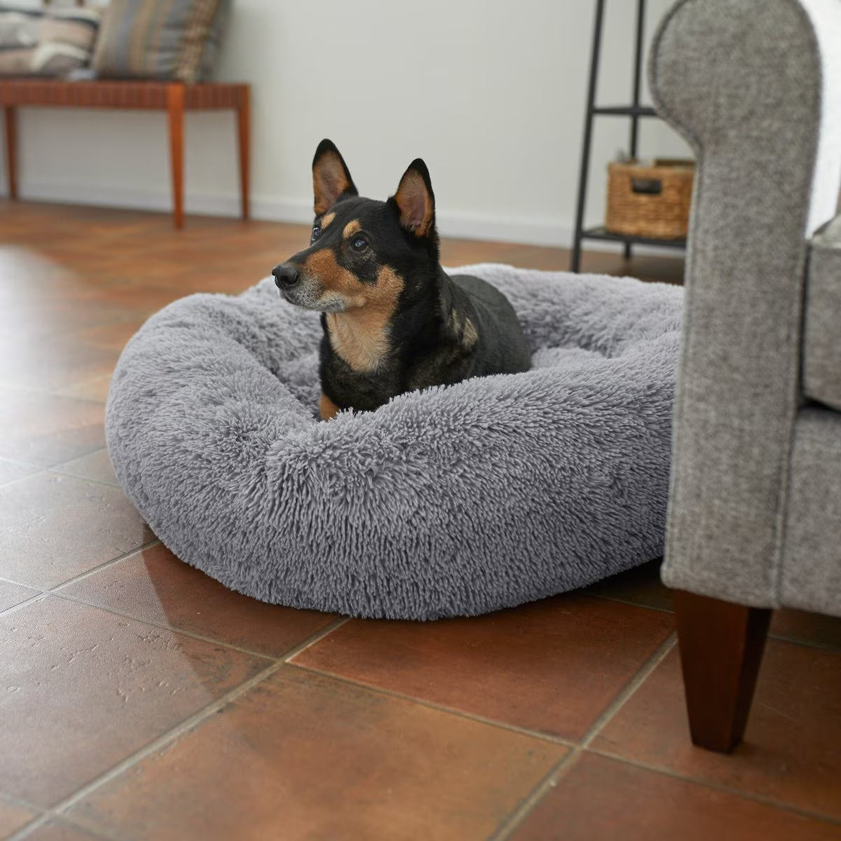 Frisco Eyelash Dog Bolster Bed