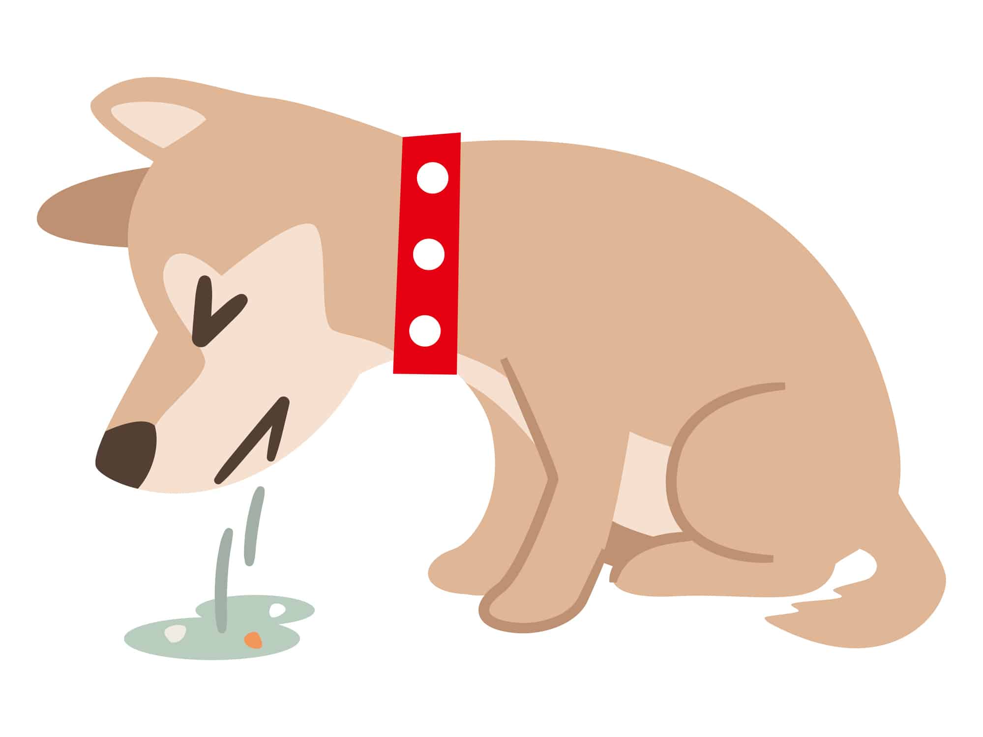 Illustration of a dog vomiting on a white background