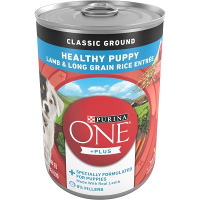 Purina ONE Smartblend Classic Ground