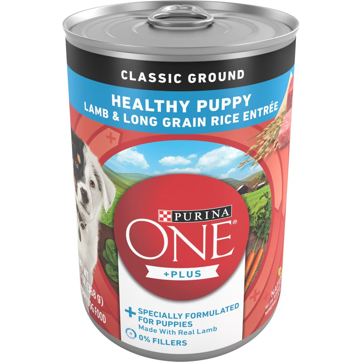 Purina ONE Classic Ground Healthy