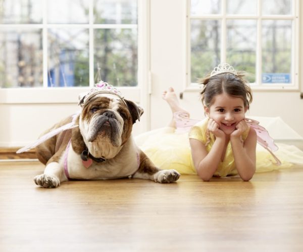 Girl and British Bulldog Playing Dressup