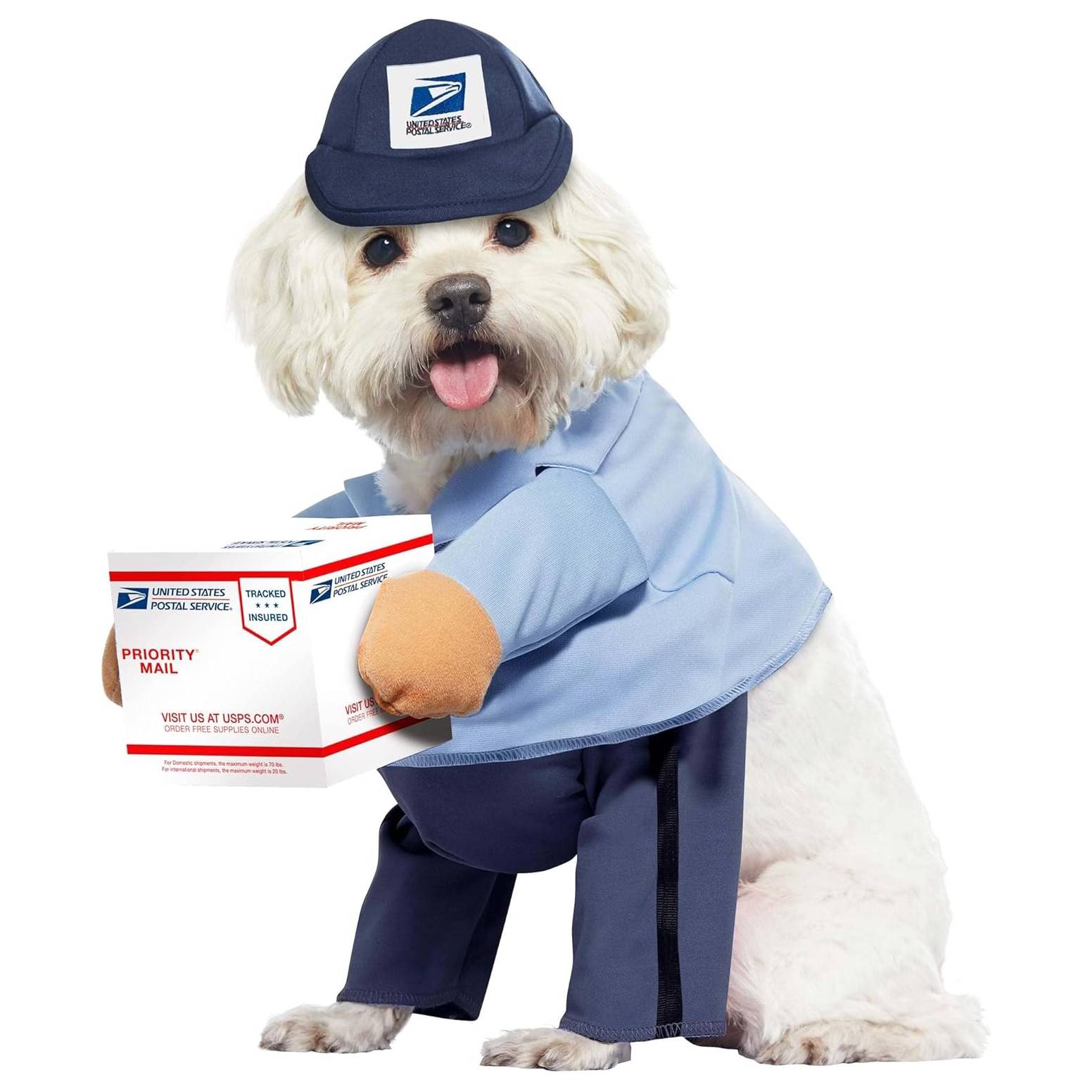 California Costumes Dog Mail Carrier Costume USPS