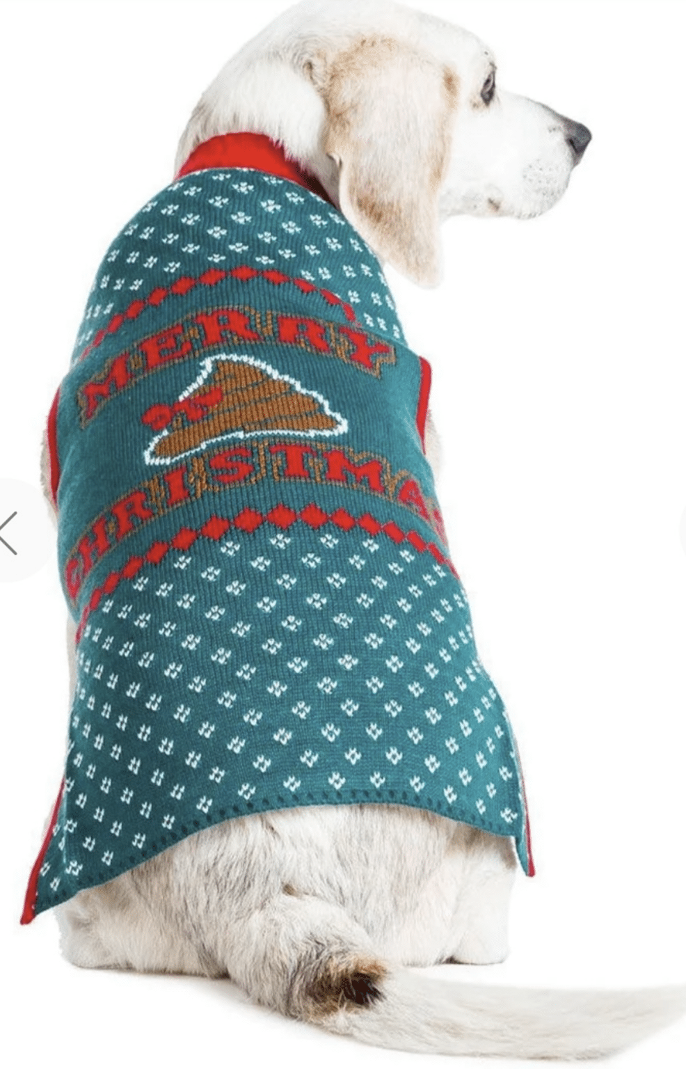 The 12 Best Christmas Sweaters for Dogs and Humans Dogster