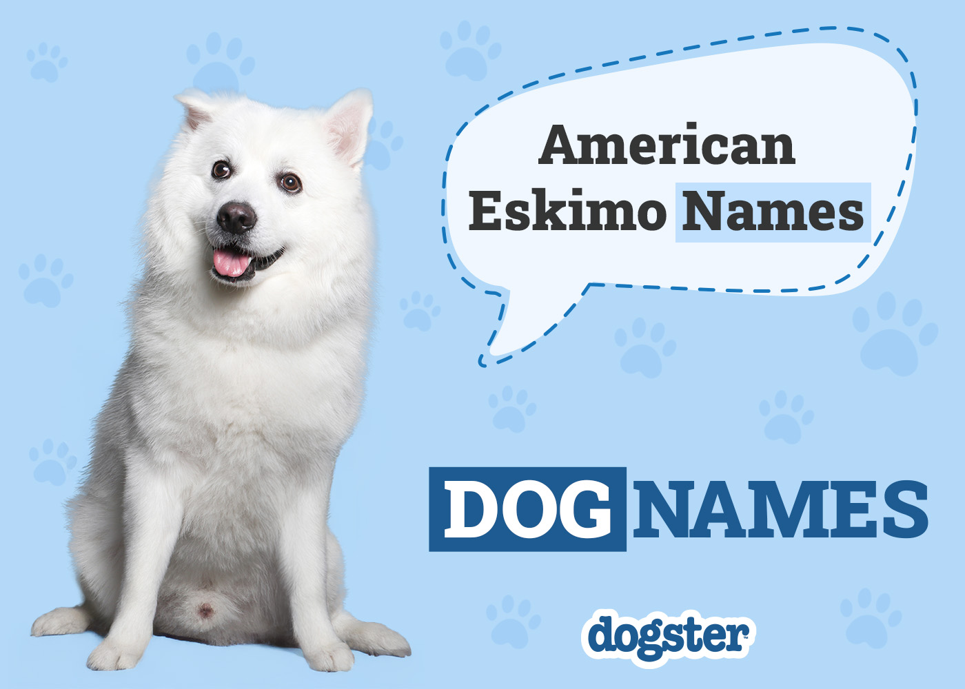 Dogster_American Eskimo Names