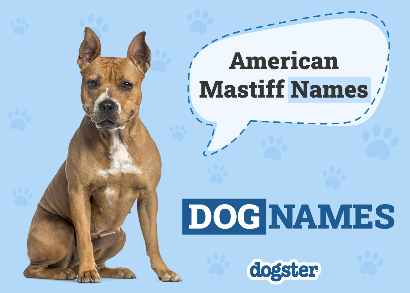 Dogster_American Mastiff Names