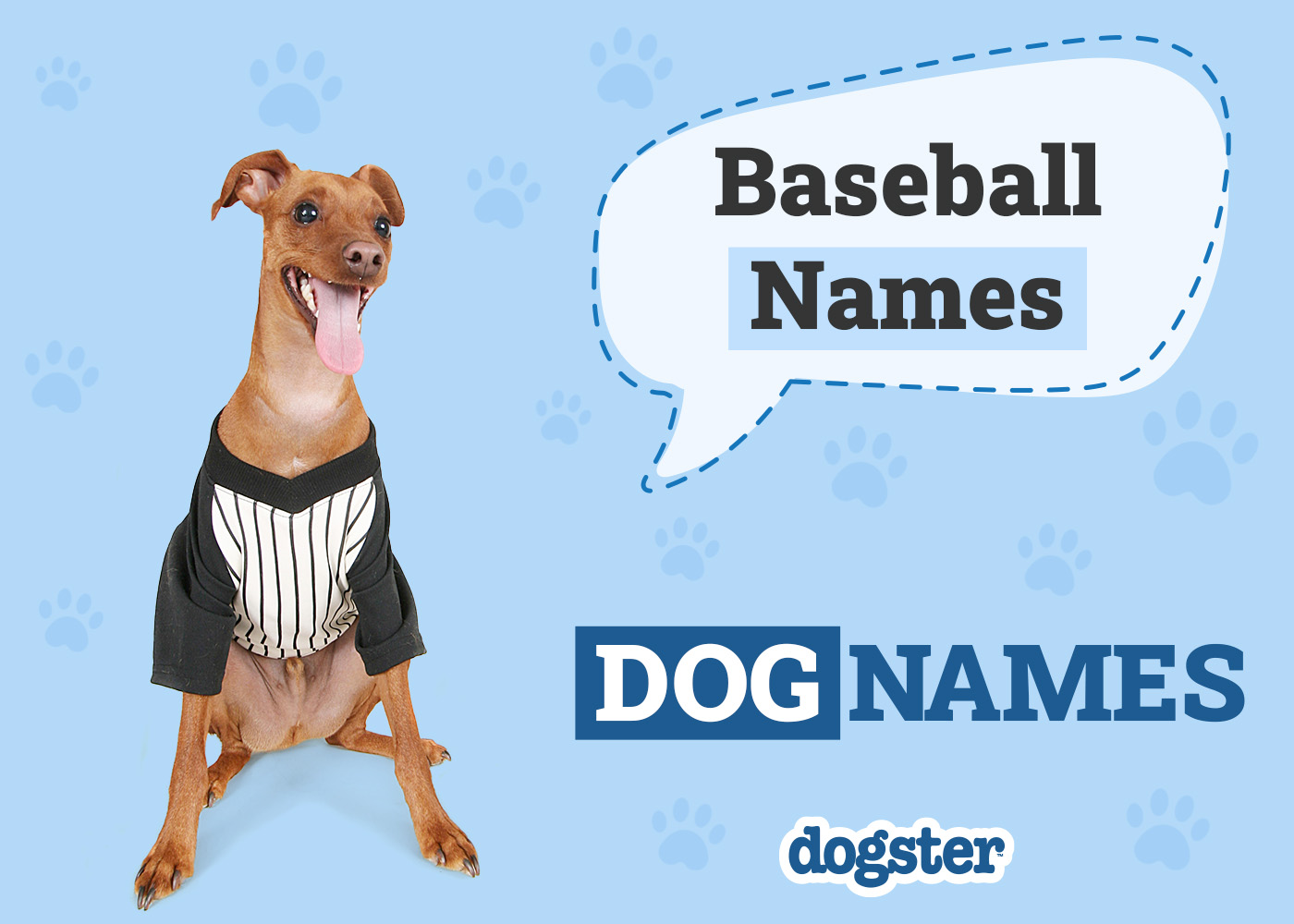 Dogster_Baseball Names