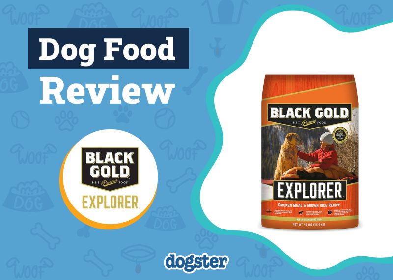 Dogster_Black Gold Explorer Dog Food Review