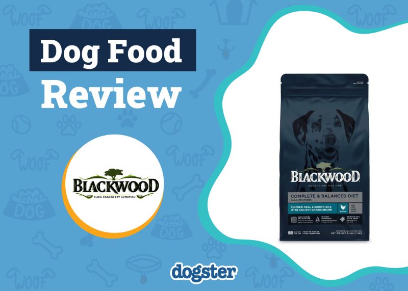Dogster_Blackwood Dog Food Review