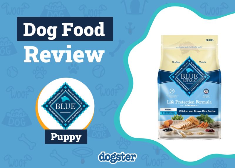 Dogster_Blue Buffalo Puppy Food Review