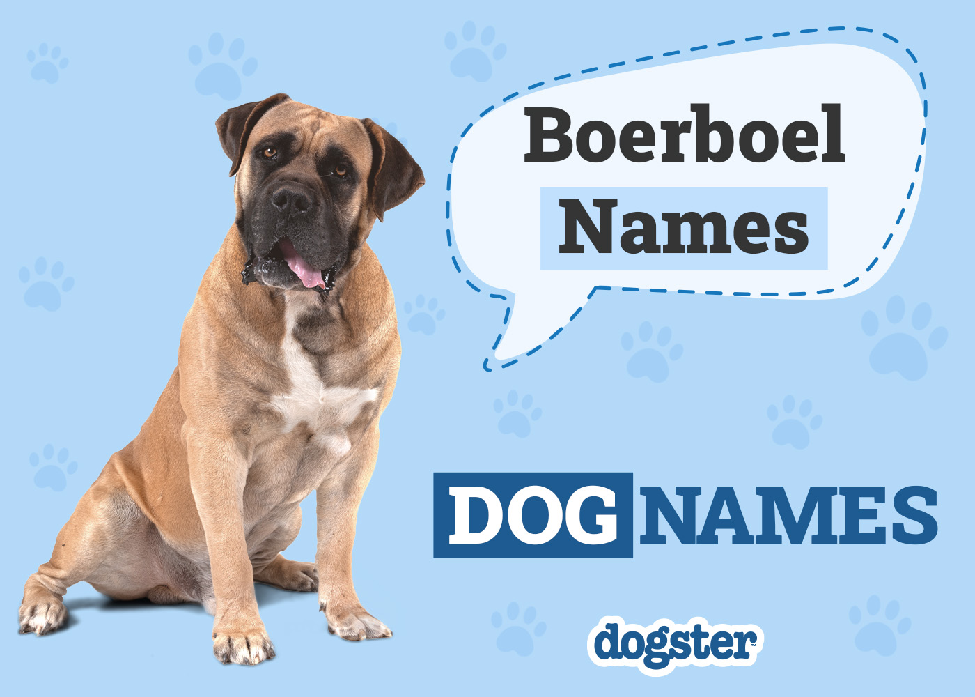 Dogster_Boerboel Names