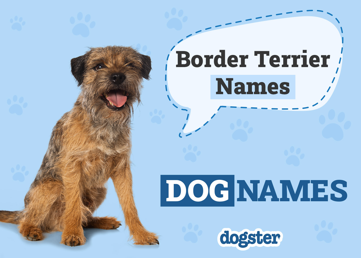 Dogster_Border Terrier Names
