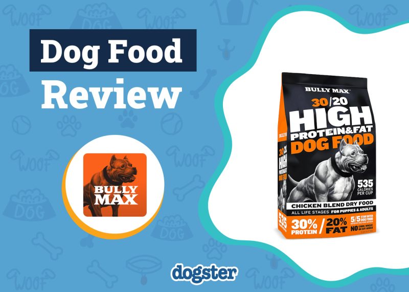 Dogster_Bully Max High Performance Dog Food Review