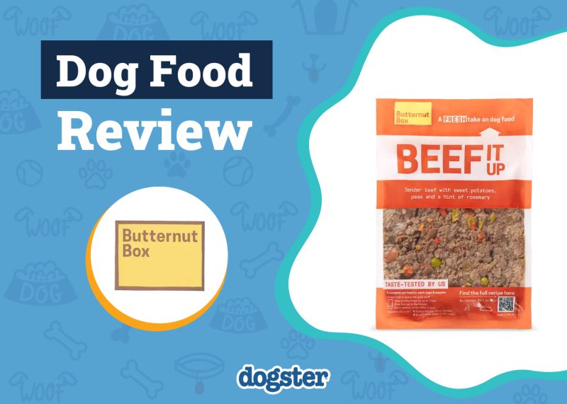 Dogster_Butternut Box Dog Food Subscription
