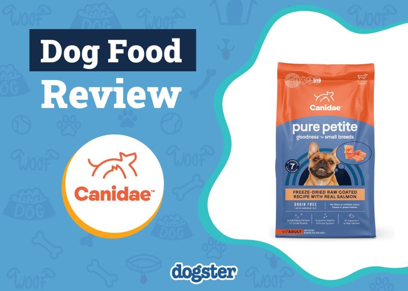 Dogster_Canidae Dog Food Review