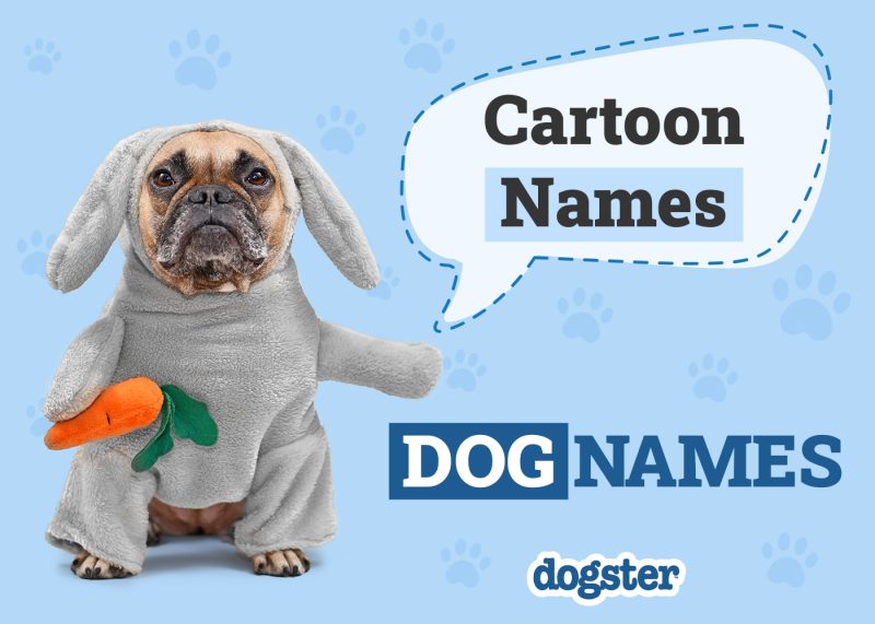 Dogster_Cartoon Names