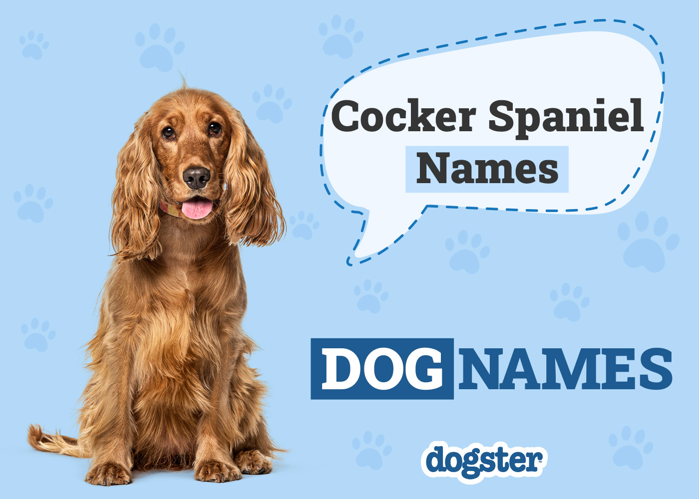 Dogster_Cocker Spaniel Names