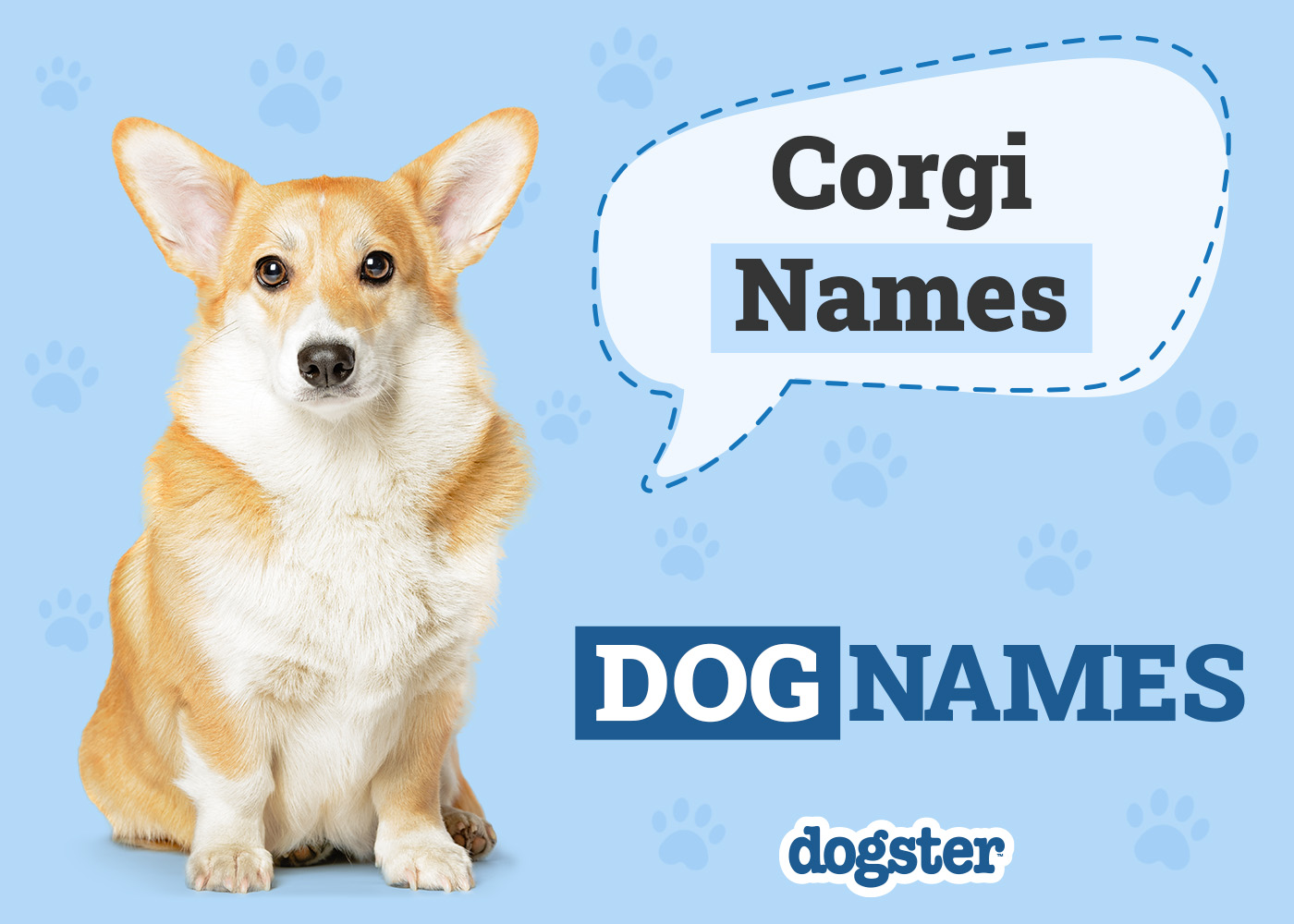Dogster_Corgi Names