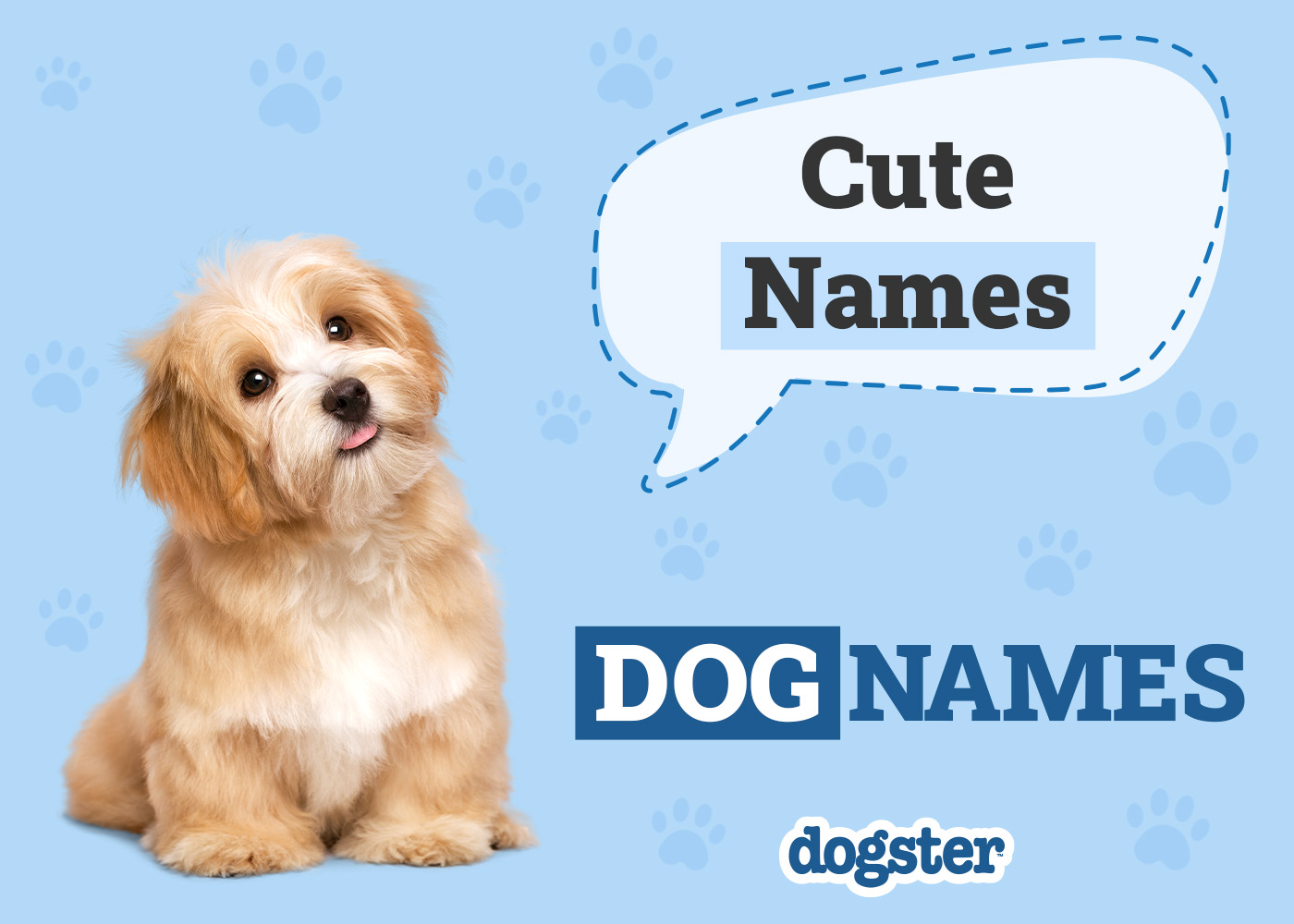 Dogster_Cute Names