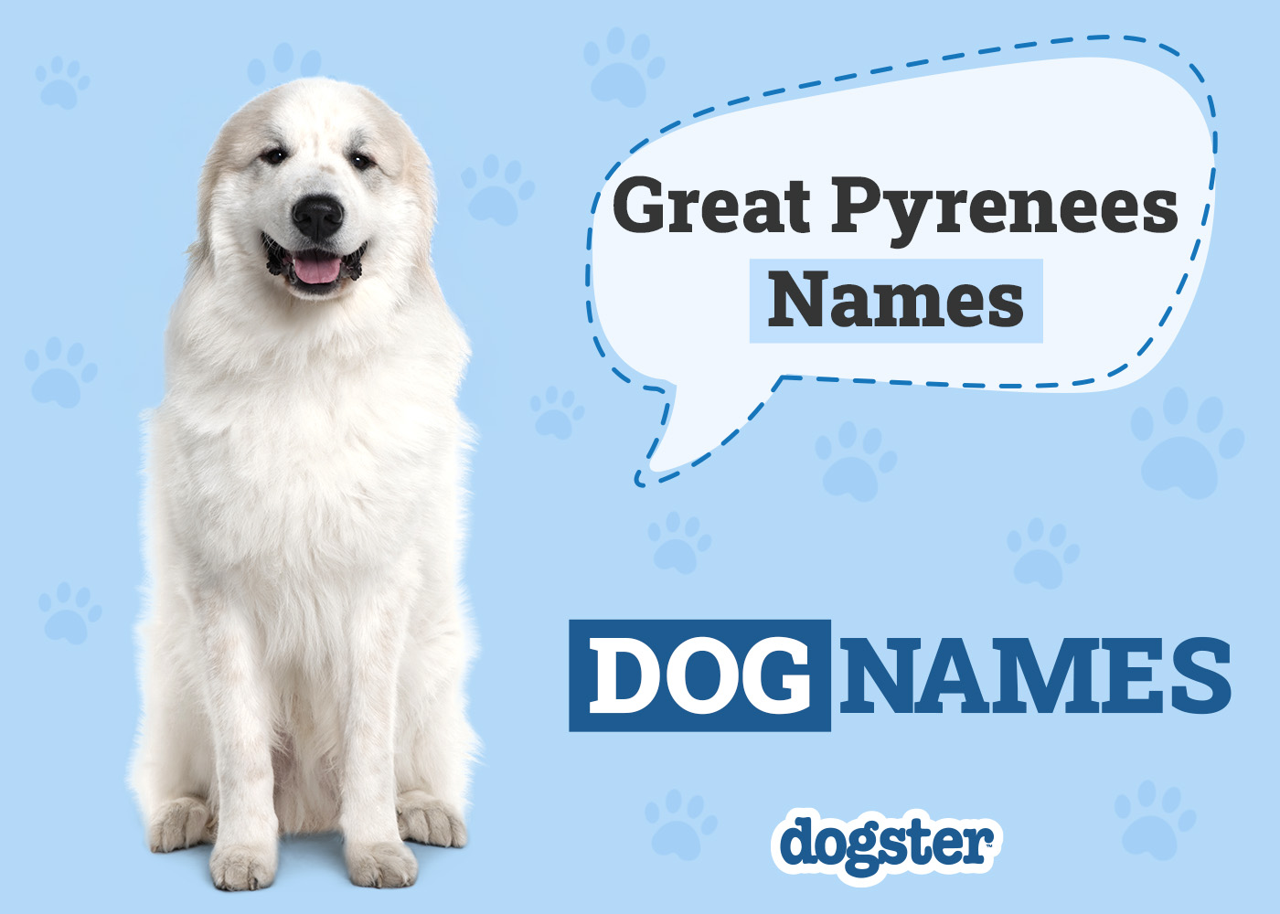 Dogster_Great Pyrenees Names