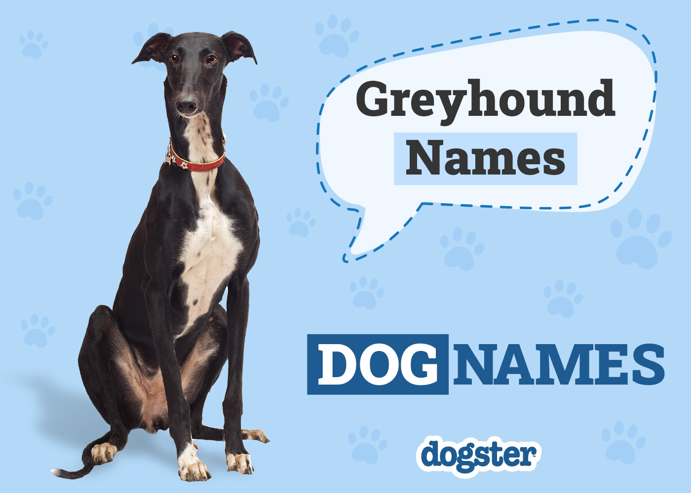 Dogster_Greyhound Names