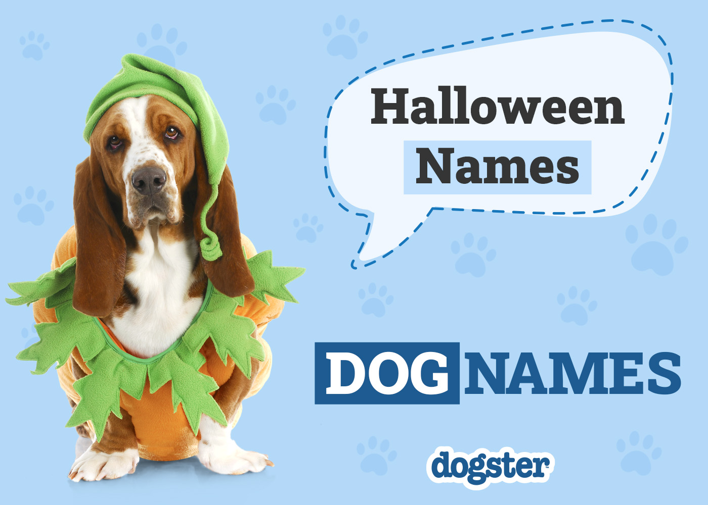 Dogster_Halloween Names