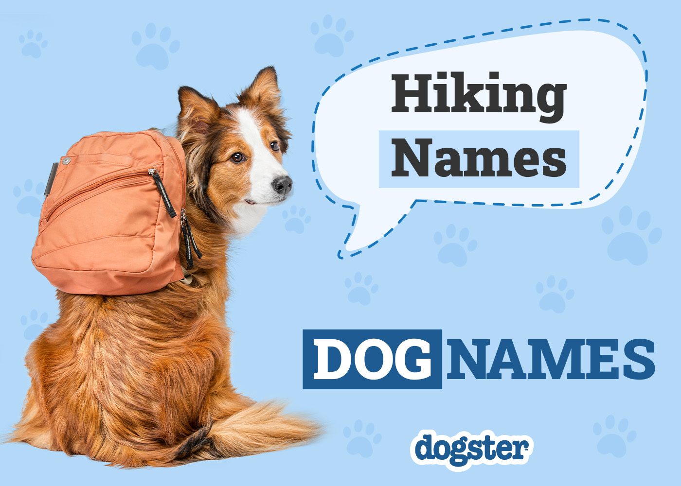 Dogster_Hiking Names