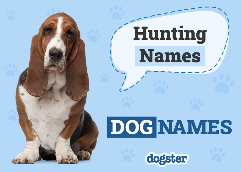 Dogster_Hunting Names
