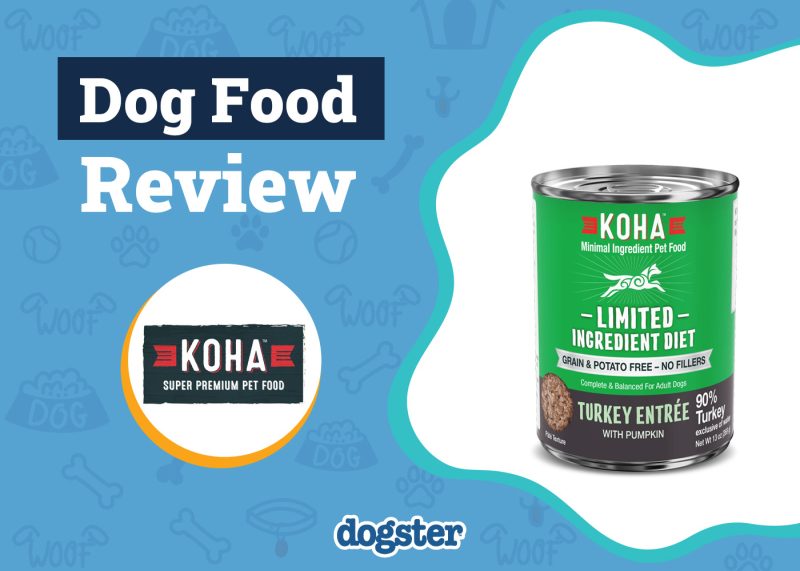 Dogster_KOHA Dog Food Review