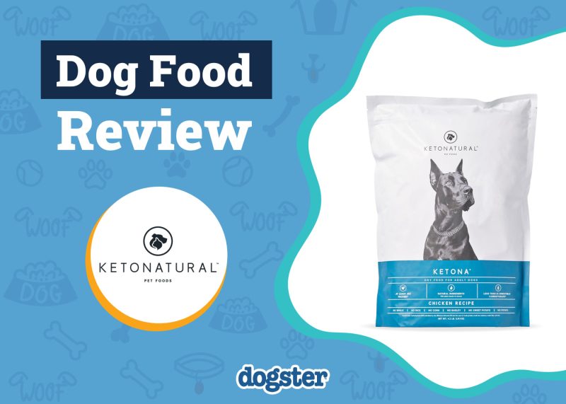 Dogster_KetoNatural Dog Food Review