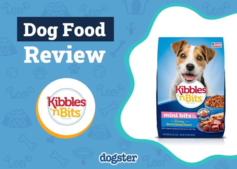 Dogster_Kibbles ‘n Bits Dog Food Review