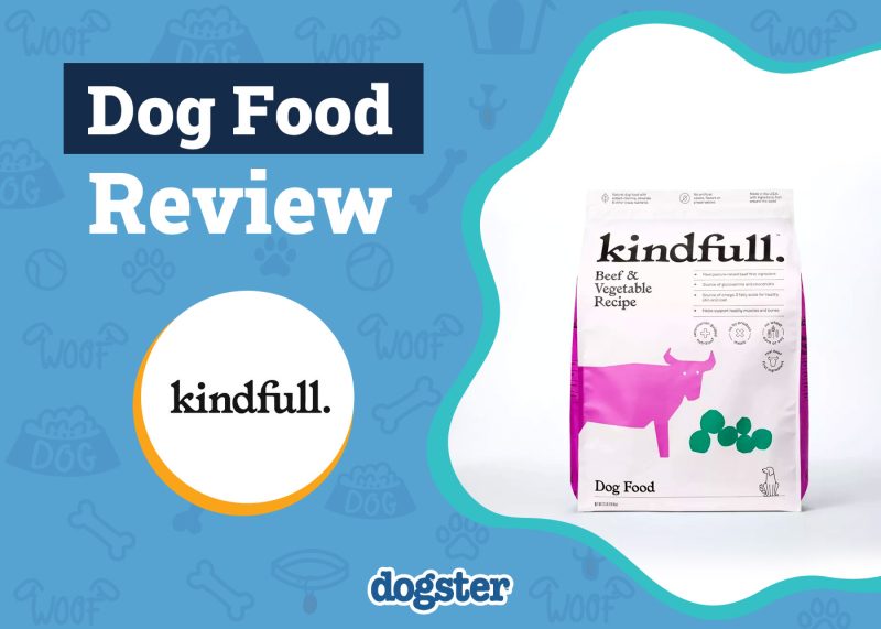 Dogster_Kindfull Dog Food Review