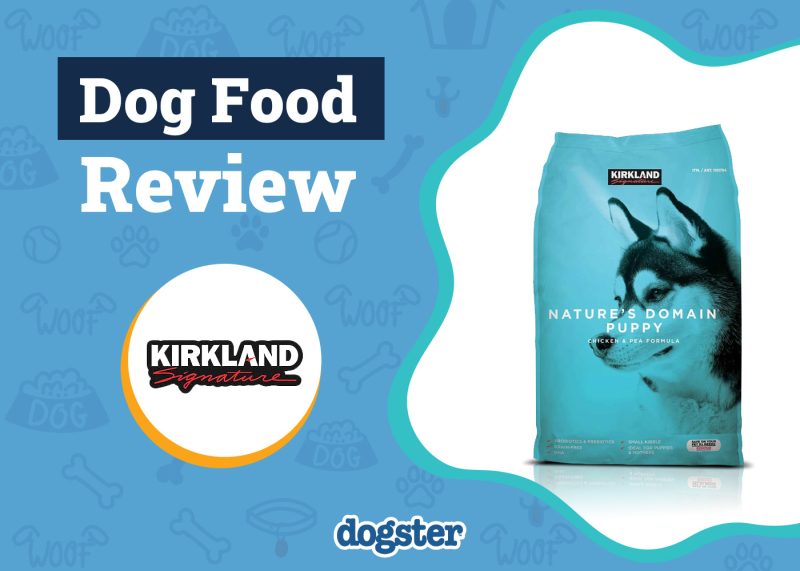 Dogster_Kirkland Nature’s Domain Dog Food Review