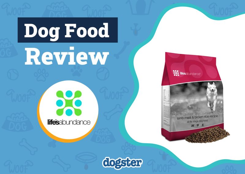 Dogster_Life Abundance Dog Food Review