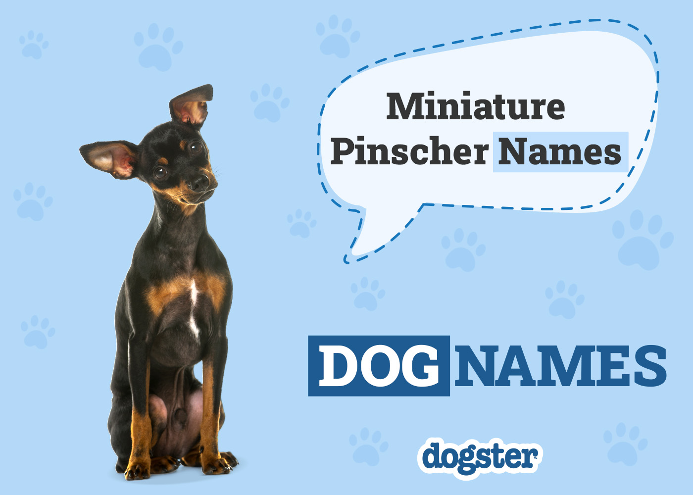 Dogster_Show Dog Names